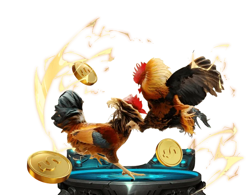 Hướng dẫn chơi đá gà bet88247